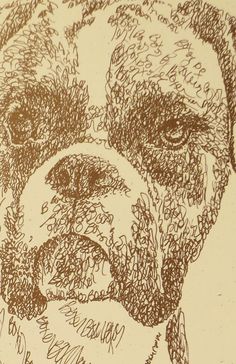 a drawing of a dog's face is shown in brown and white ink on paper