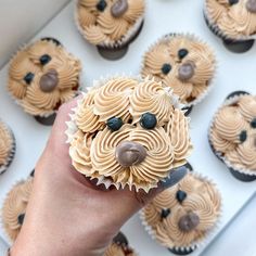 a person holding a cupcake with frosting in front of some cupcakes