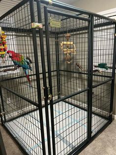 there is a cage with two parrots in it and another bird inside the cage