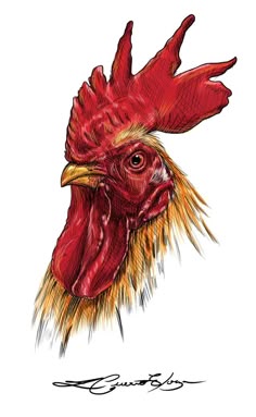 a drawing of a rooster's head with red feathers and yellow combs on it