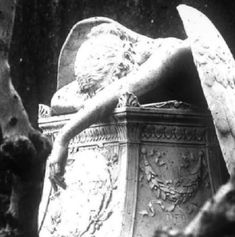 an angel statue laying on its side next to a planter and tree trunk in black and white