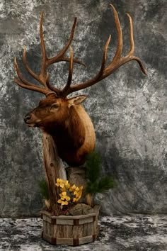 a large deer head mounted on top of a wooden box with flowers in it's mouth