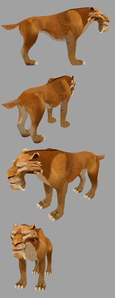 four different views of an animal's head and body, including the front and back