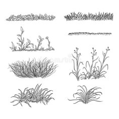 four different types of plants and grass on a white background royalty illustration for design or printing