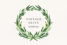 the vintage olive wreath logo is shown in watercolor on white paper with green leaves