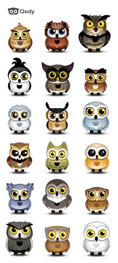 an image of many different owls with big eyes