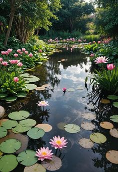 pink water lilies are floating in the pond with lily pads and greenery around them