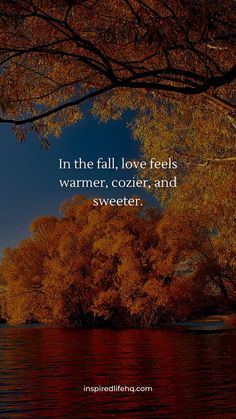 A stunning autumn tree reflecting on the water, ideal for fall quotes love and warmth.