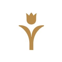 an image of a flower that is in the middle of a white and brown background