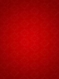 a red wallpaper background with leaves and flowers on the bottom right corner, it is very