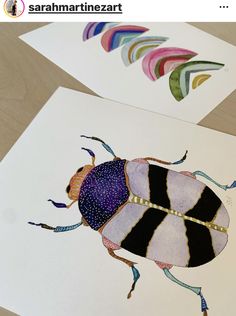 two cards with different colored bugs on them