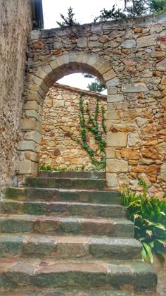 stone steps lead up to an arched doorway