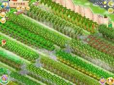 an image of a farm with lots of plants