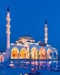 the blue mosque is lit up at night