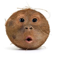 a close up of a coconut with eyes and hair on it's head, making a funny face