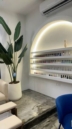 a room filled with furniture and lots of bottles on the wall next to a potted plant