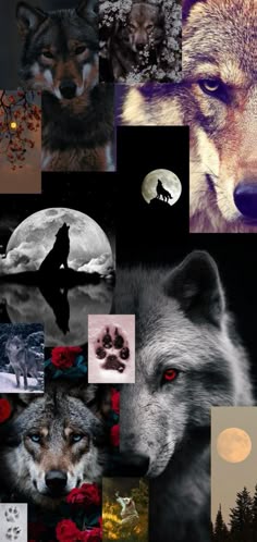 a collage of wolf images with the moon in the background
