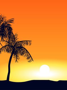 a palm tree is silhouetted against an orange sky