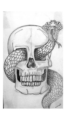 a drawing of a skull with a snake on it's head and a snake crawling out of its mouth