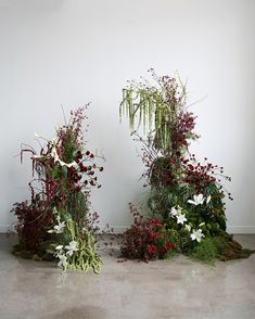 an arrangement of plants and flowers on the floor in front of a wall with white walls