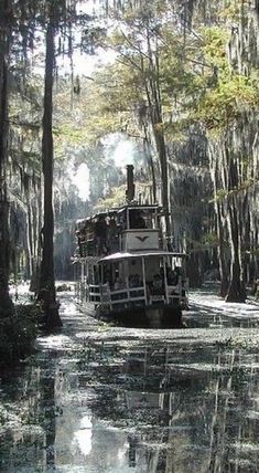 a boat traveling down a river next to trees covered in spanish moss and lichen
