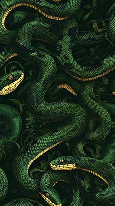 a green snake with its mouth open and it's tongue out