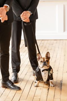 a small dog wearing a suit and tie standing next to a man in a tuxedo