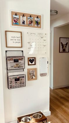 there is a dog bowl on the floor in front of a wall with pictures and magnets