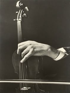a person's hand holding onto the strings of a violin