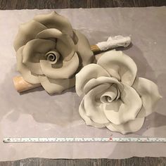 two large white flowers sitting on top of a piece of paper next to a ruler