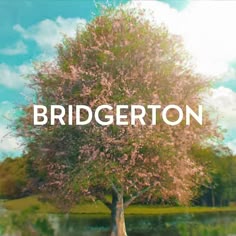 a tree with the words bridgerton on it in front of a lake and blue sky