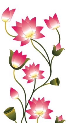 pink flowers with green leaves on white background