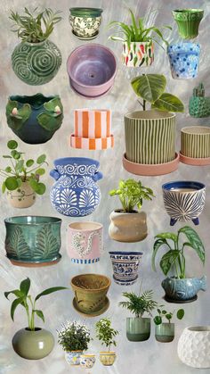 many different pots and plants are arranged together