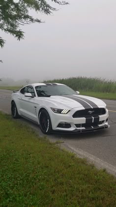 a white and black mustang parked on the side of the road in front of a tree