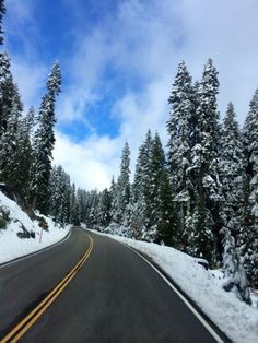 the road is lined with snow and pine trees