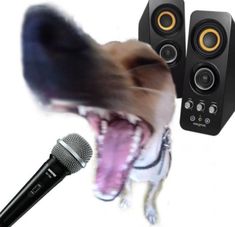 a dog with it's mouth open in front of two speakers and a microphone