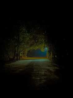 an empty road at night with trees on both sides