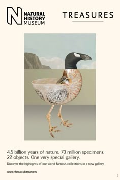 an advertisement for the national history museum featuring a bird