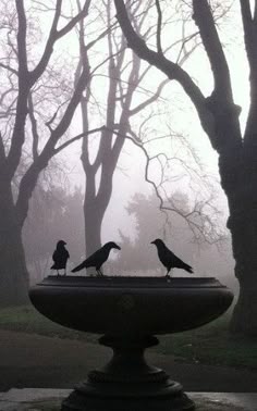 two birds sitting on top of a birdbath in the middle of a park