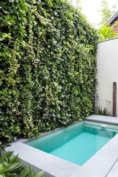 an outdoor pool surrounded by greenery in front of a white wall and wooden fence