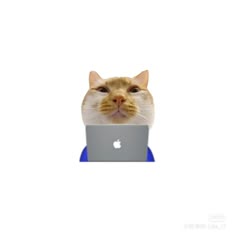 a cat with an apple laptop in front of it's face on a white background
