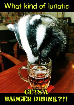 a badger drinking out of a mug on top of a wooden table with the caption what kind of puntic get's a badger drink?