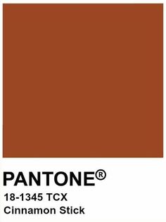 pantone's cinnamon stick color is shown in the image, and it looks to be
