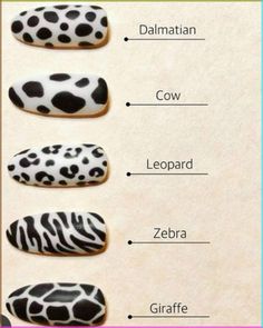 Animal Print Nail Designs, Black And White Nail Art, Diy Animal Print Nails, Trendy Nail Art Ideas, Wildlife Inspired Manicure, Florida Panthers Nail Art, Different Types Of Nail Art Designs, Leopard Print On Nails, Animal Print Nails Ideas
