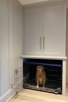 a dog is sitting in its kennel at the end of the room with his head sticking out