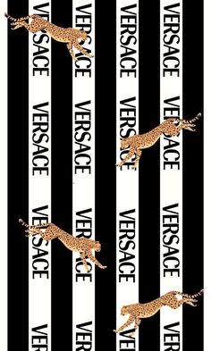 three cheetah running across the black and white striped background with words on it