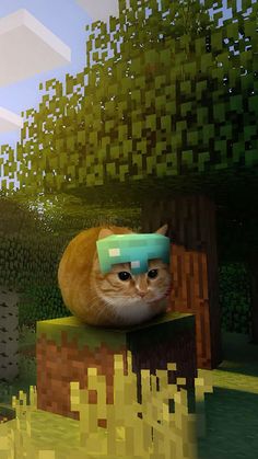 an orange and white cat wearing a blue headband on top of a wooden bench