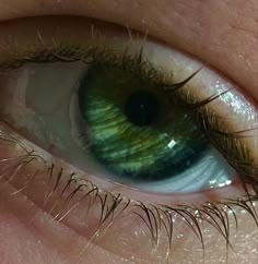 Emerlad Green Eyes, Jungle Green Eyes, Elf Eye Colors, Emeraldgreen Eyes, Viridian Eyes, Green Eye Photo, Deep Emerald Eyes, Emrald Eyes, Greene Eyes