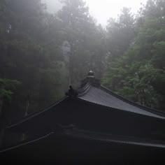 japan temple aesthetic forest aesthetic foggy aesthetic japan core!>^< Dark Japan Aesthetic, Japanese Dark Forest, Dark Japanese Aesthetic, Japanese Yakuza Aesthetic, Japan Dark Aesthetic, Japanese Garden Rain Aesthetic, Dark Green Japanese Aesthetic, Historical Japanese Scenery, Japanese Architecture Nature Scene