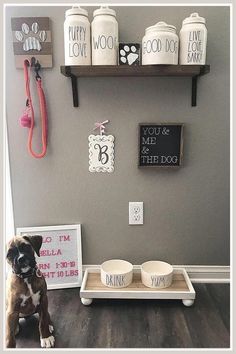 Transform your pup's space with our guide to creating the perfect dog bedroom. Discover essential tips for designing a cozy and stylish environment that your furry friend will love. From choosing the right bedding to incorporating playful decor, learn how to make your dog's bedroom a comfortable retreat that reflects their personality and enhances your home.